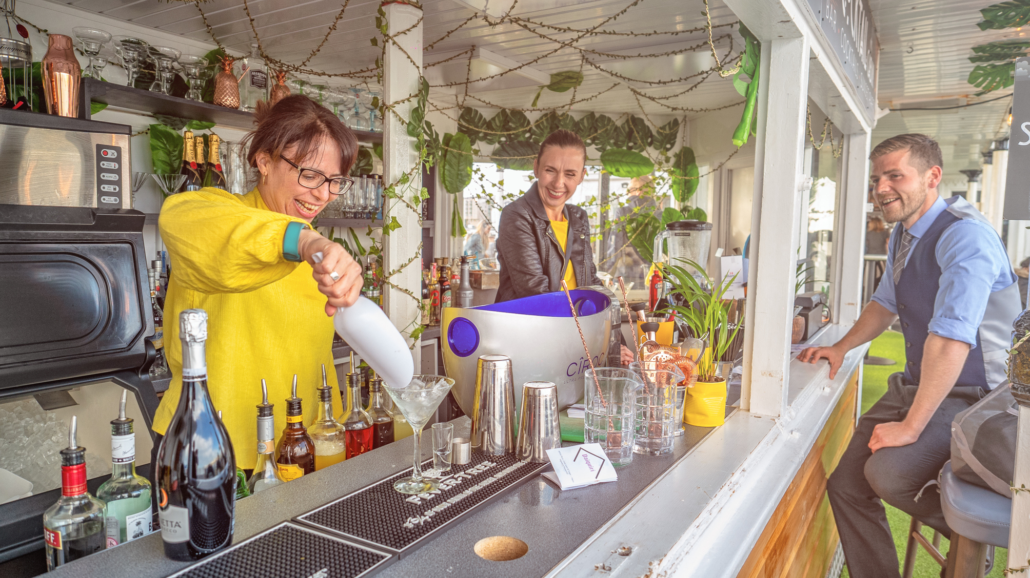 P1230853 Edit Edit 4