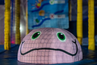 IMG 8930